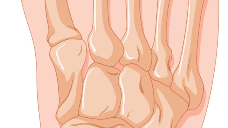 Dna Moczanowa: Kompleksowy Przegląd